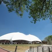 Carpa 7